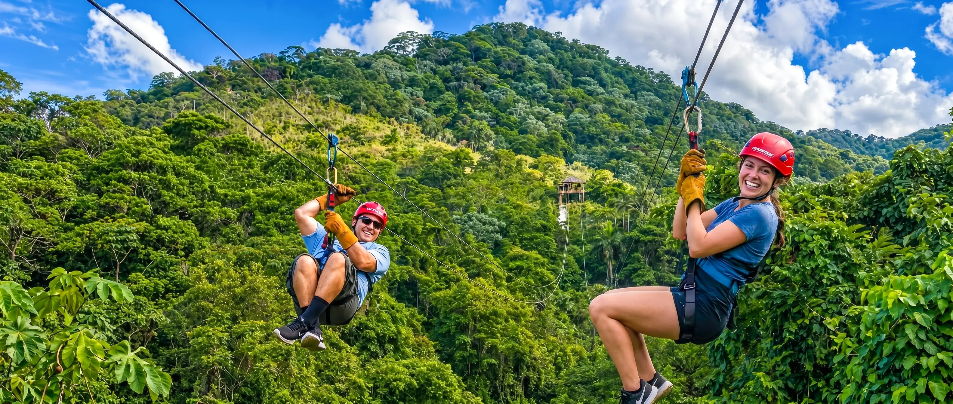 Zipline